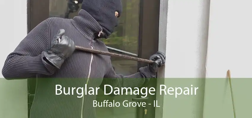 Burglar Damage Repair Buffalo Grove - IL