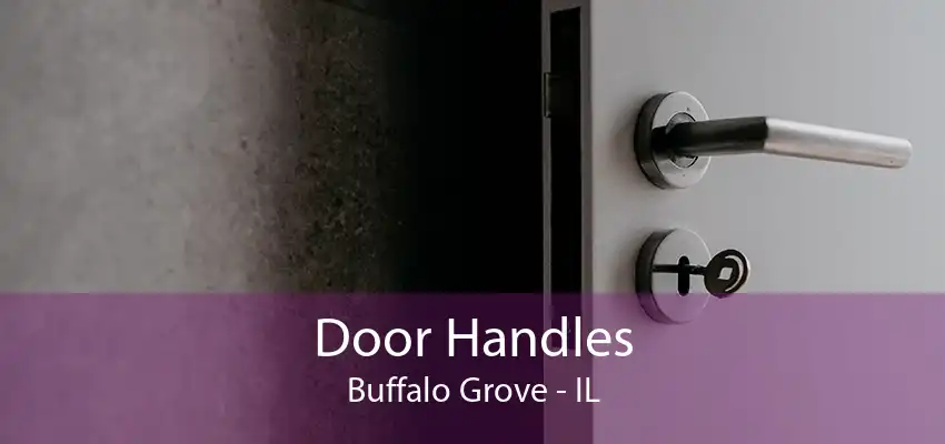 Door Handles Buffalo Grove - IL