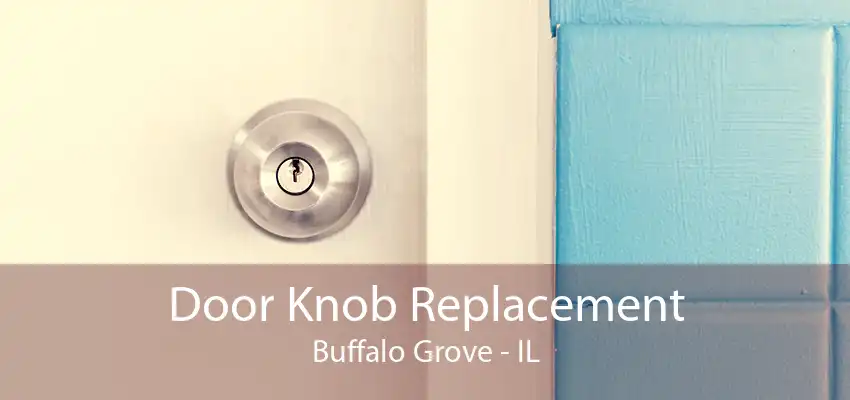 Door Knob Replacement Buffalo Grove - IL