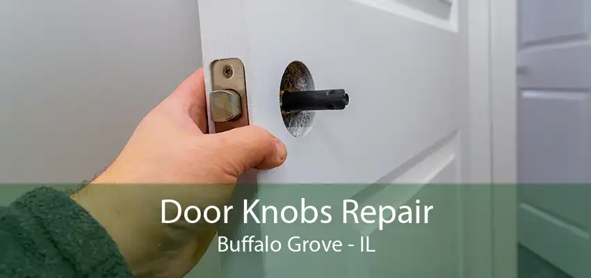 Door Knobs Repair Buffalo Grove - IL