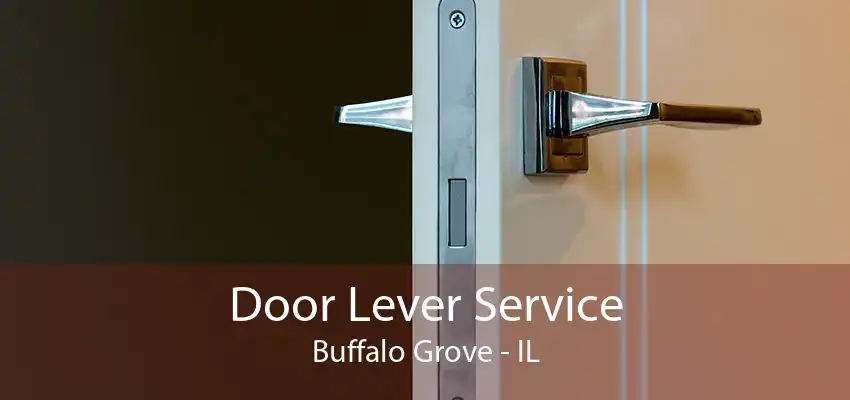 Door Lever Service Buffalo Grove - IL