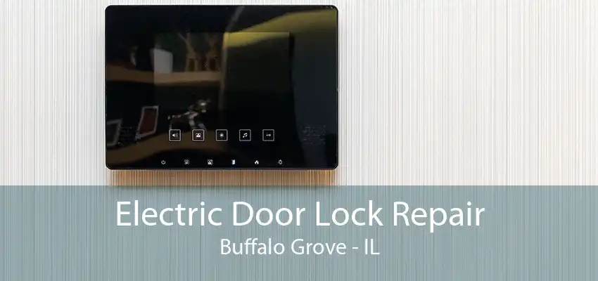 Electric Door Lock Repair Buffalo Grove - IL