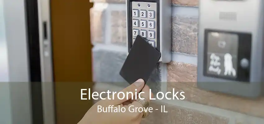 Electronic Locks Buffalo Grove - IL