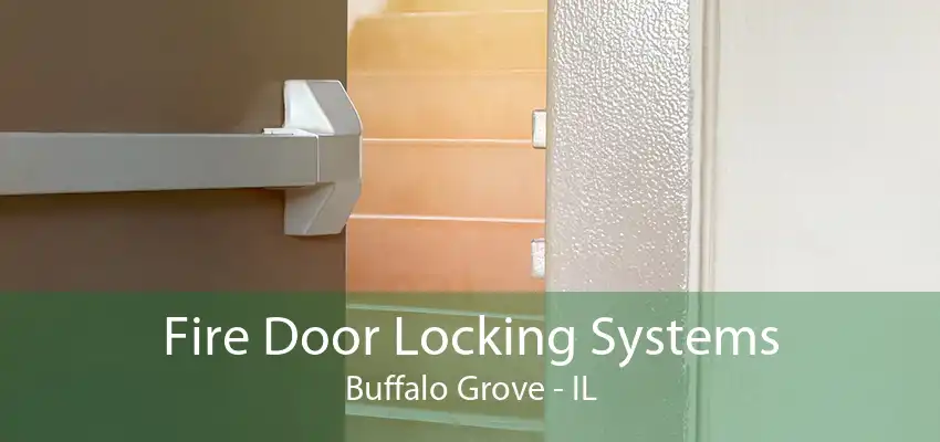 Fire Door Locking Systems Buffalo Grove - IL