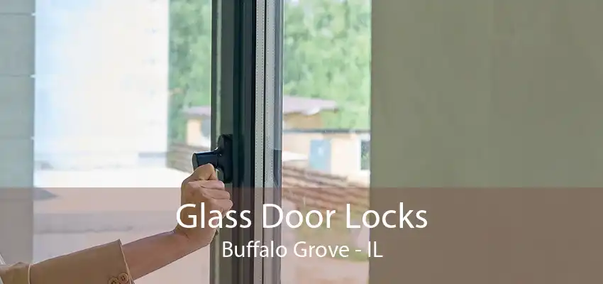 Glass Door Locks Buffalo Grove - IL