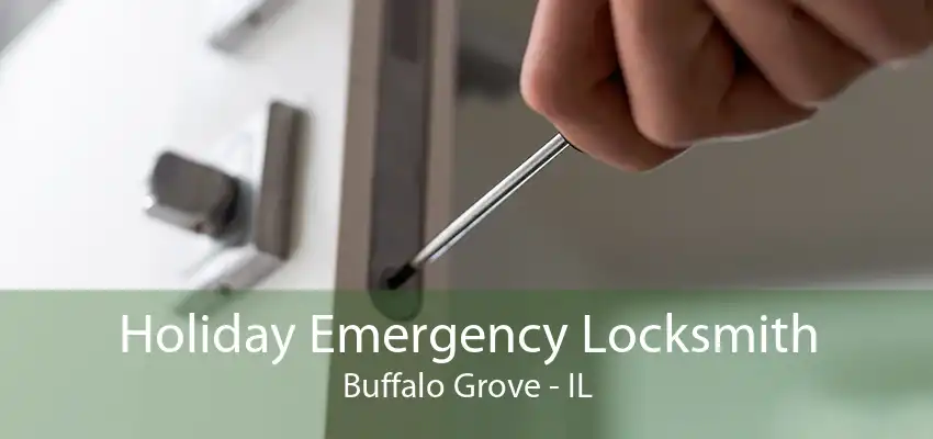 Holiday Emergency Locksmith Buffalo Grove - IL