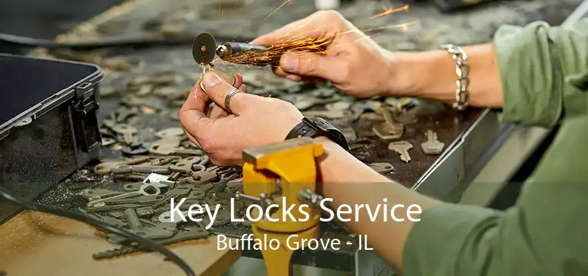 Key Locks Service Buffalo Grove - IL