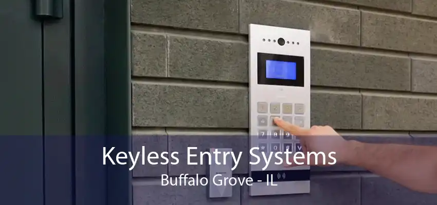 Keyless Entry Systems Buffalo Grove - IL