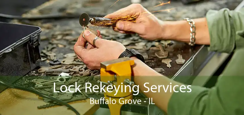 Lock Rekeying Services Buffalo Grove - IL