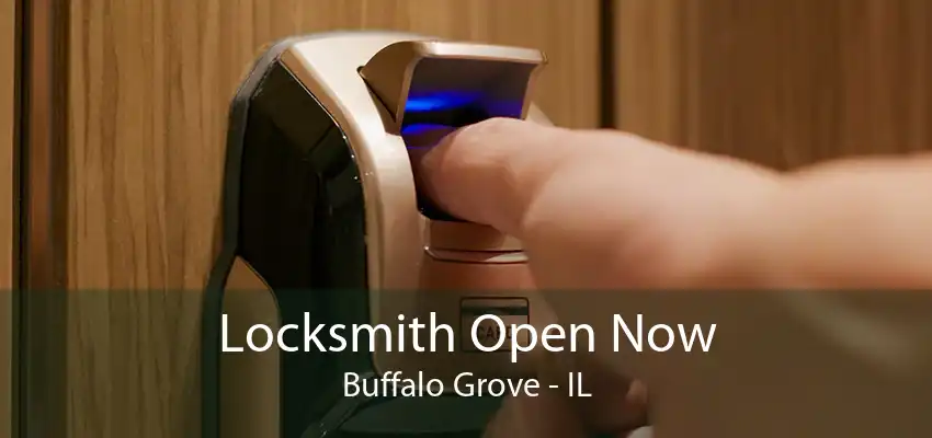 Locksmith Open Now Buffalo Grove - IL