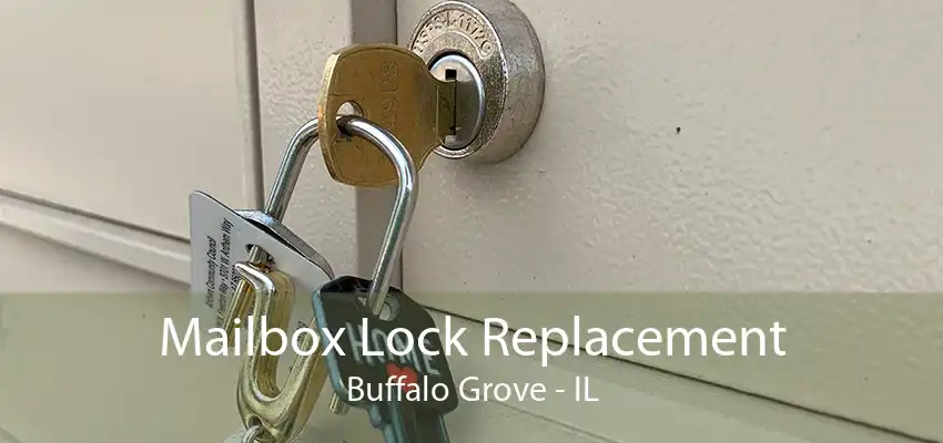 Mailbox Lock Replacement Buffalo Grove - IL