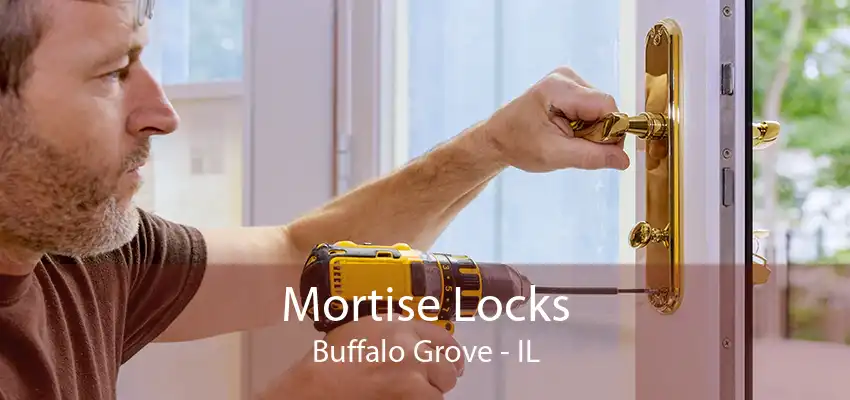 Mortise Locks Buffalo Grove - IL