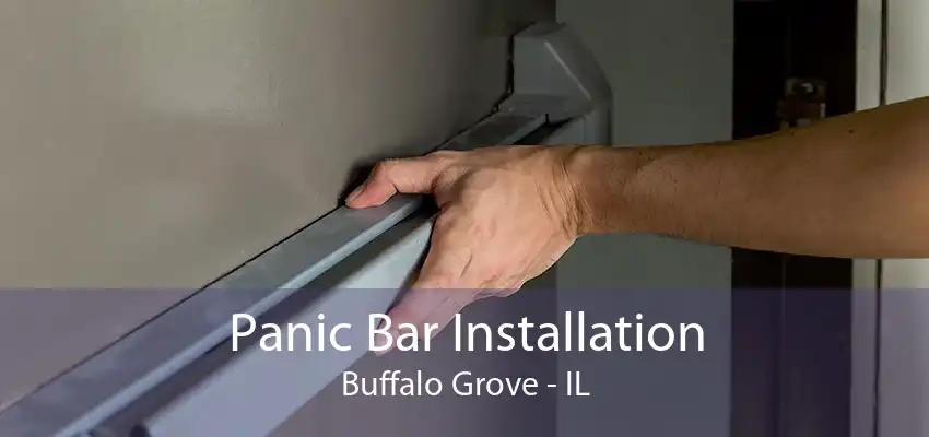 Panic Bar Installation Buffalo Grove - IL