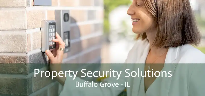 Property Security Solutions Buffalo Grove - IL