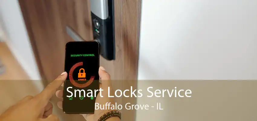 Smart Locks Service Buffalo Grove - IL